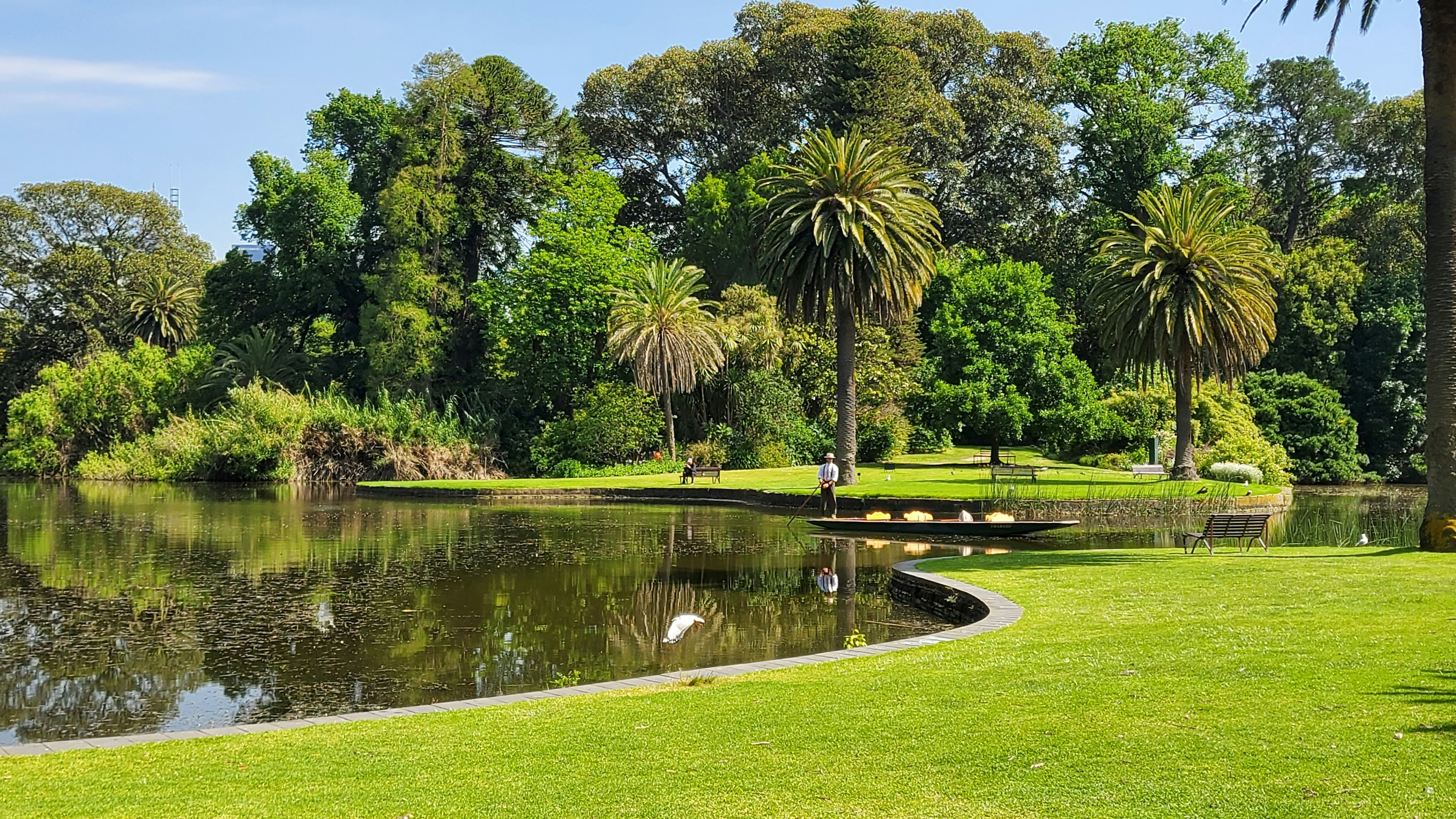 Lake and gardens at the Royal Botanical Gardens in Melbourne CBD